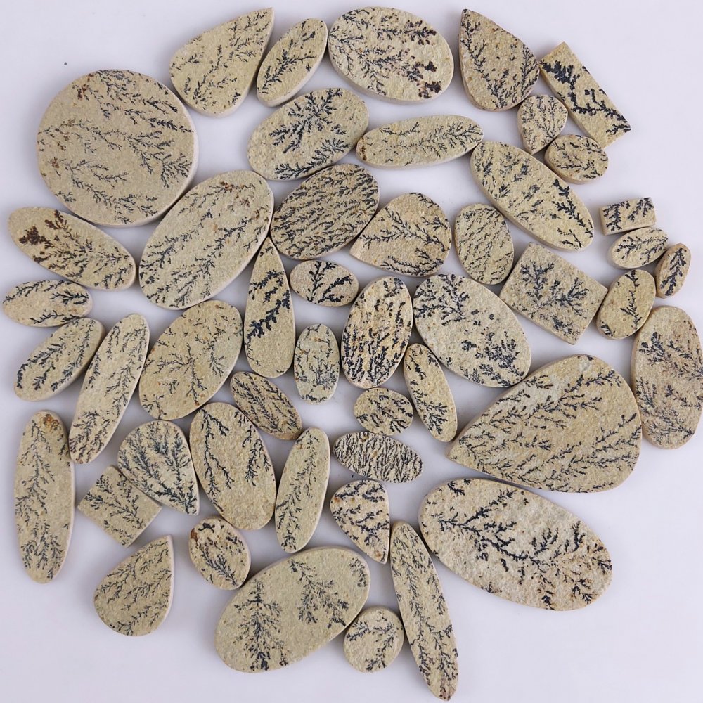 51Pcs 1191Cts  Natural Manganese Oxide Dendrites Cabochon Jewelry Dendritic Limestone Rocks Minerals Specimen Manganese and Iron Oxide Dendrites From Solnhofen Unpolish Gemstone 53x28 18x10mm#G-536