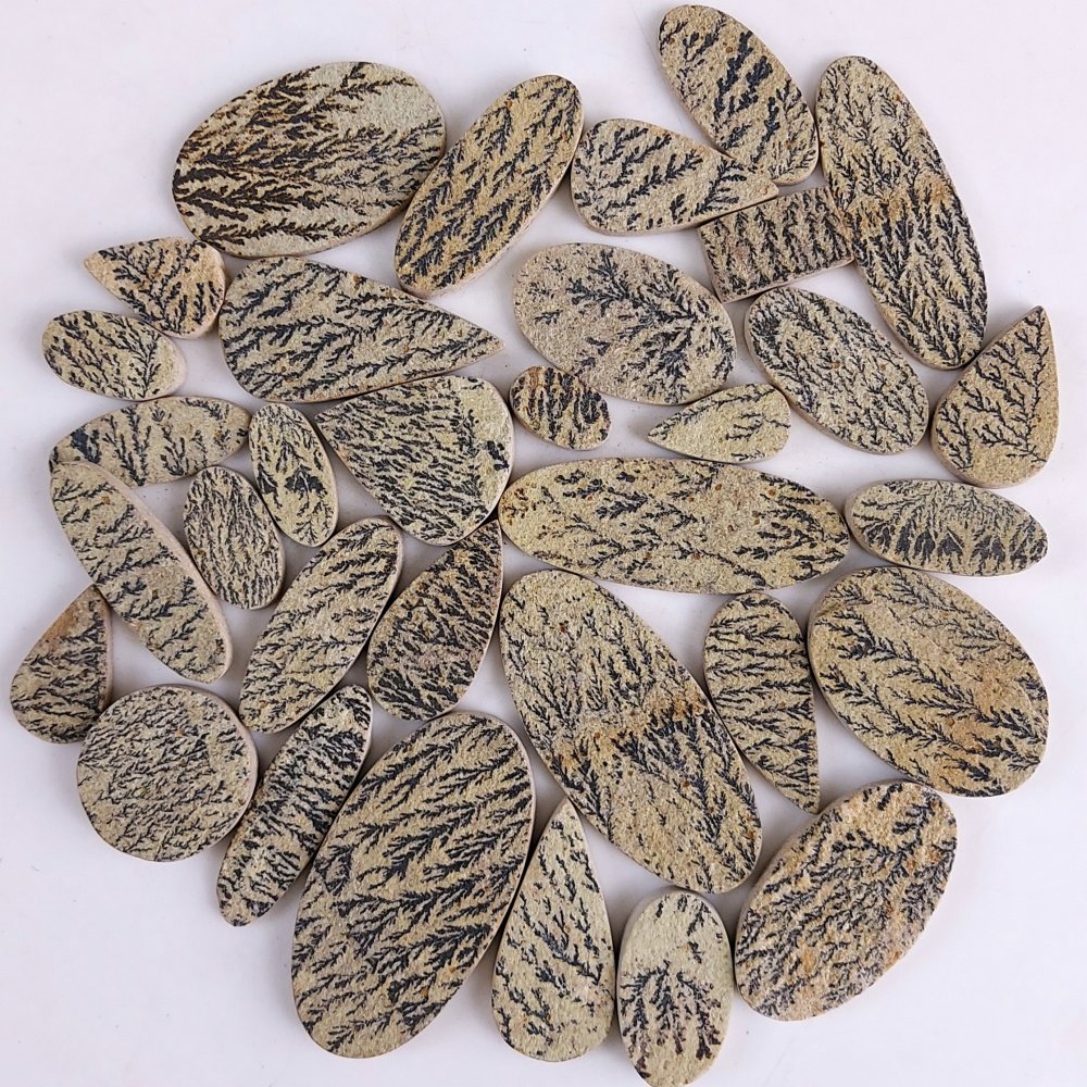 33Pcs 945Cts  Natural Manganese Oxide Dendrites Cabochon Jewelry Dendritic Limestone Rocks Minerals Specimen Manganese and Iron Oxide Dendrites From Solnhofen Unpolish Gemstone 55x28 15x8 mm#G-537