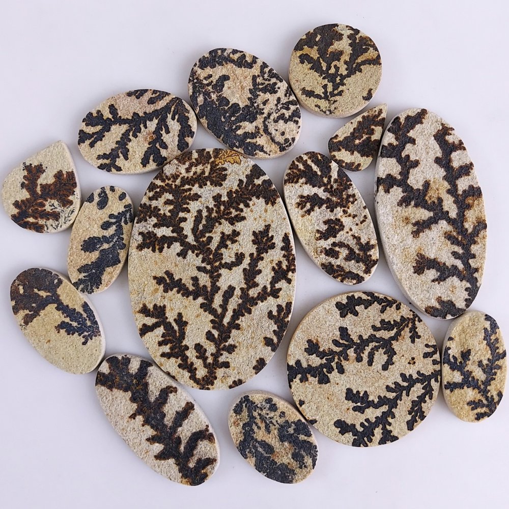 14Pcs 1046Cts  Natural Manganese Oxide Dendrites Cabochon Jewelry Dendritic Limestone Rocks Minerals Specimen Manganese and Iron Oxide Dendrites From Solnhofen Unpolish Gemstone 80x55 25x10mm#G-538