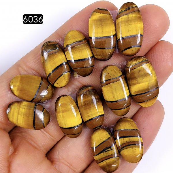 6pair 140cts Natural tiger&#039;s Eye Cabochon Gemstone Pair Lot Mix Shape &amp; Size 20x10 18x10mm#6036