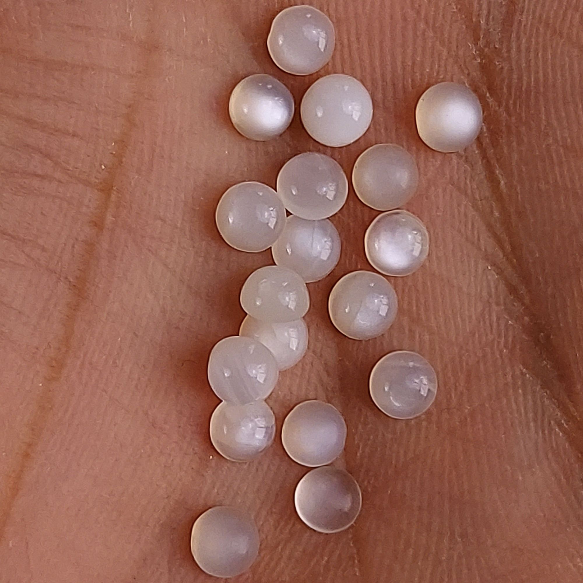 44Pcs 14Cts Natural White Moonstone Loose Cabochon Round Shape Gemstone For Jewelry Making Lot 4x4mm#651