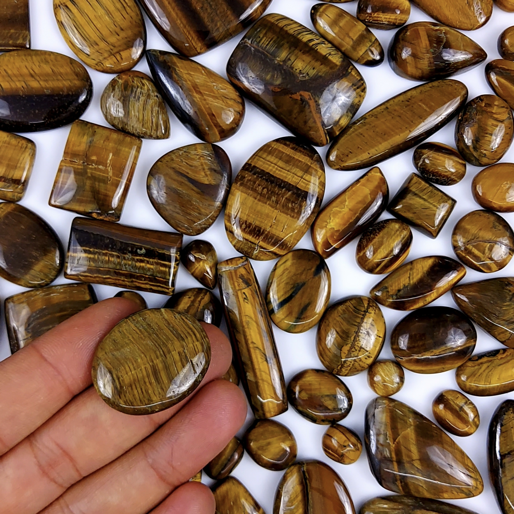 76Pcs 1655Cts Natural Tiger Eye Cabochon Loose Gemstone Tiger Eye Gemstone Smooth Both Side Polish Shiny Color Tiger Eye Gemstone 37x22 13x8mm6972
