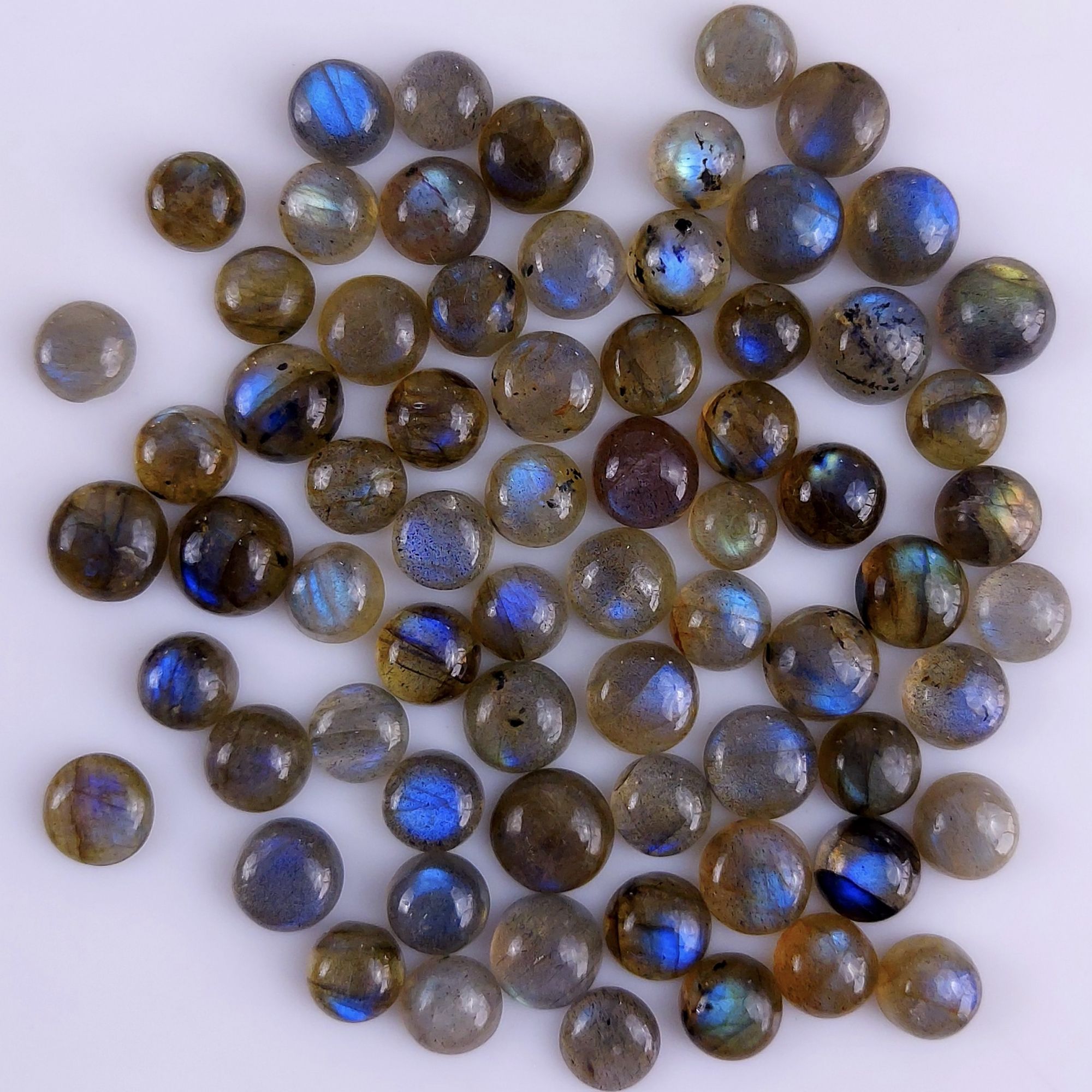 69Pcs 172Cts Natural Blue Labradorite Calibrated Cabochon Round Shape Gemstone Lot For Jewelry Making 5x5mm#740