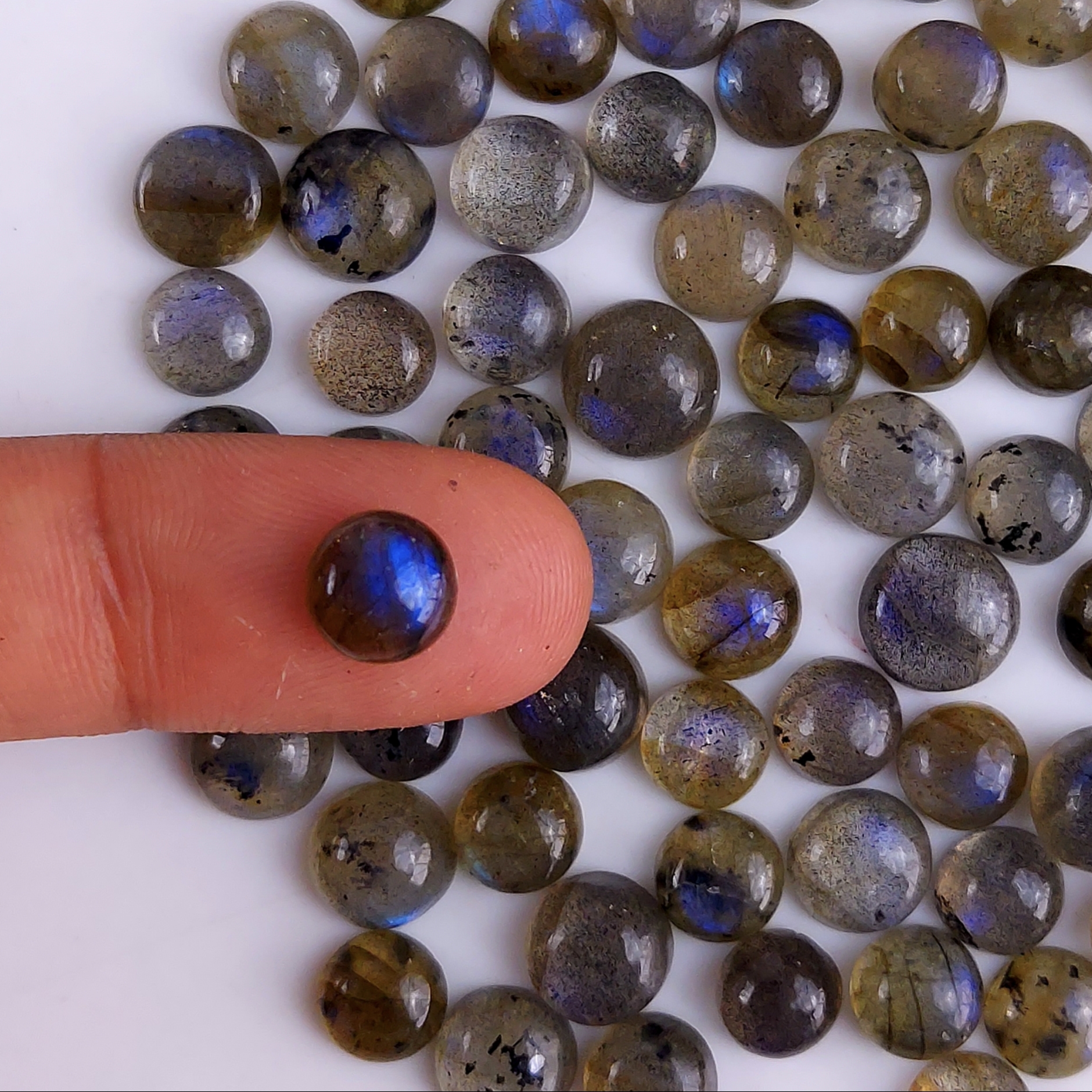 74Pcs 180Cts Natural Blue Labradorite Calibrated Cabochon Round Shape Gemstone Lot For Jewelry Making 6x6mm#741