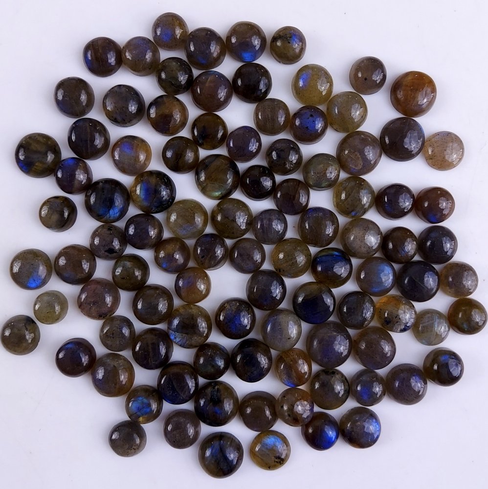 97Pcs 272Cts Natural Blue Labradorite Calibrated Cabochon Round Shape Gemstone Lot For Jewelry Making 5x5mm#749