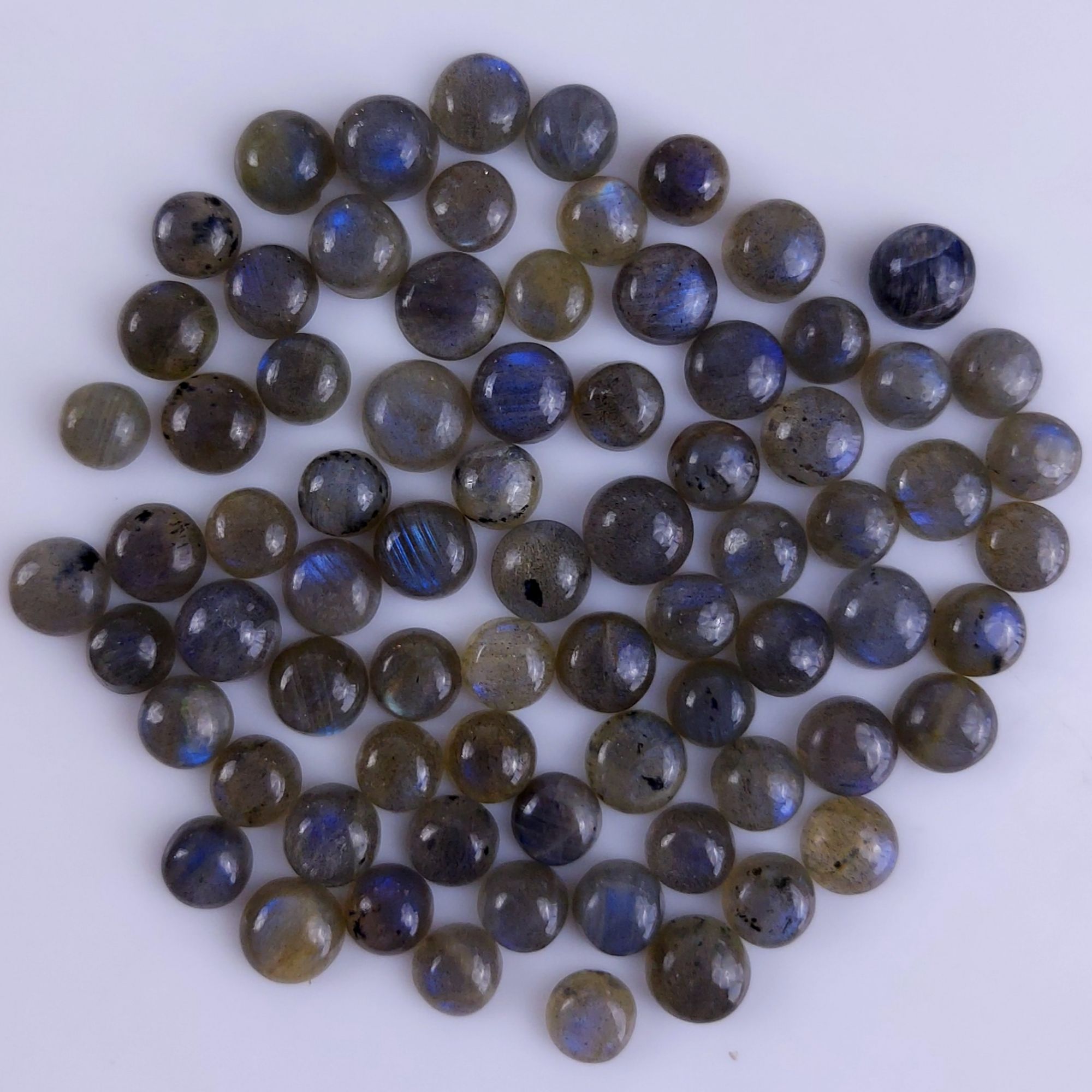 75Pcs 193Cts Natural Blue Labradorite Calibrated Cabochon Round Shape Gemstone Lot For Jewelry Making 7x7mm#758