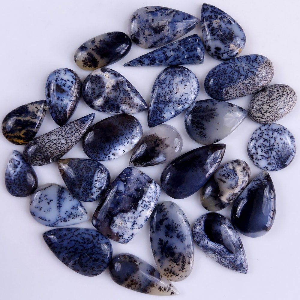 26Pcs 231Cts  Natural Dendrite Opal Gemstone Black White Design Dendrite Opal Cabochon, Flat Back Dendrite Opal Stone Both Side Polished Dendrite Opal Stone 27x9 15x10 mm#818