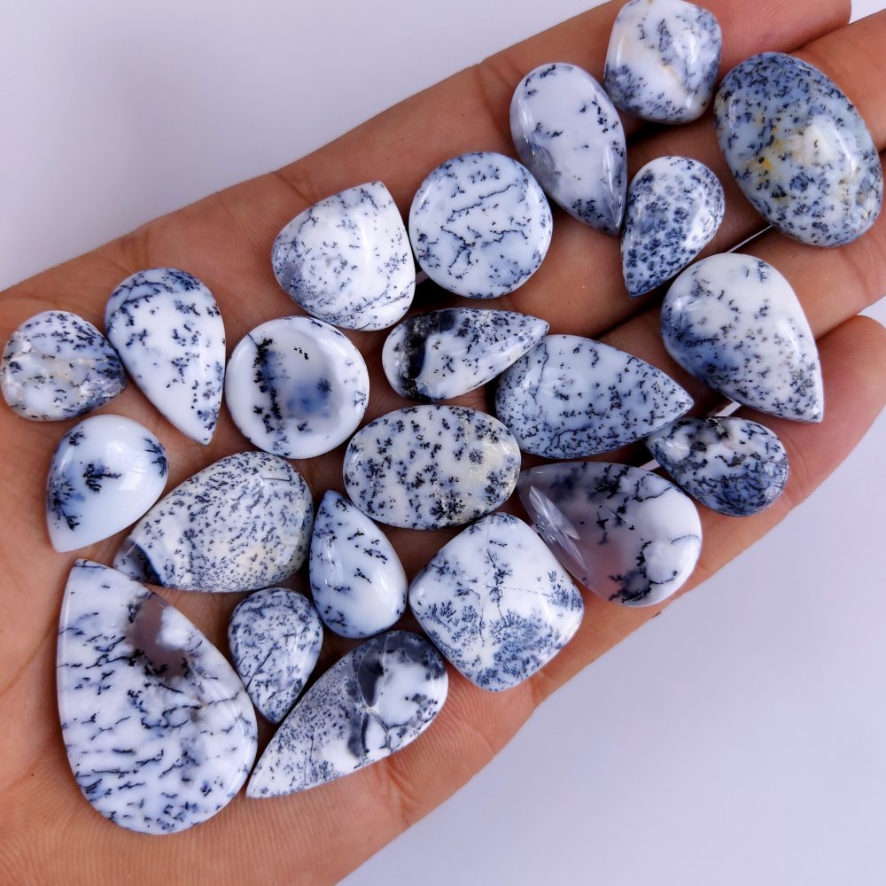 22Pcs 229Cts  Natural Dendrite Opal Gemstone Black White Design Dendrite Opal Cabochon, Flat Back Dendrite Opal Stone Both Side Polished Dendrite Opal Stone 34x20 14x13 mm#819