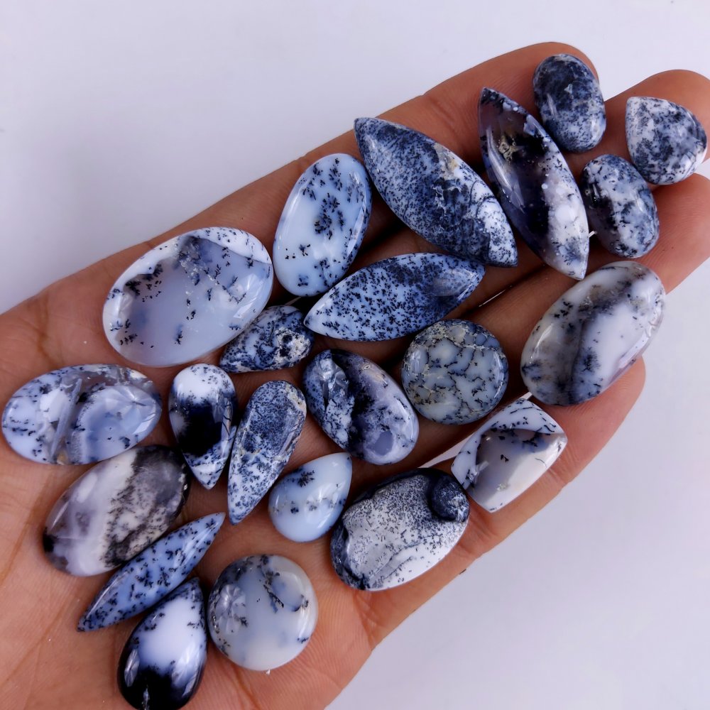 22Pcs 245Cts  Natural Dendrite Opal Gemstone Black White Design Dendrite Opal Cabochon, Flat Back Dendrite Opal Stone Both Side Polished Dendrite Opal Stone 35x13 15x11 mm#820