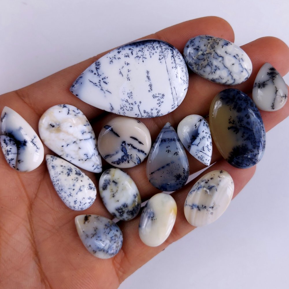 14Pcs 184Cts  Natural Dendrite Opal Gemstone Black White Design Dendrite Opal Cabochon, Flat Back Dendrite Opal Stone Both Side Polished Dendrite Opal Stone 40x27 13x10 mm#821