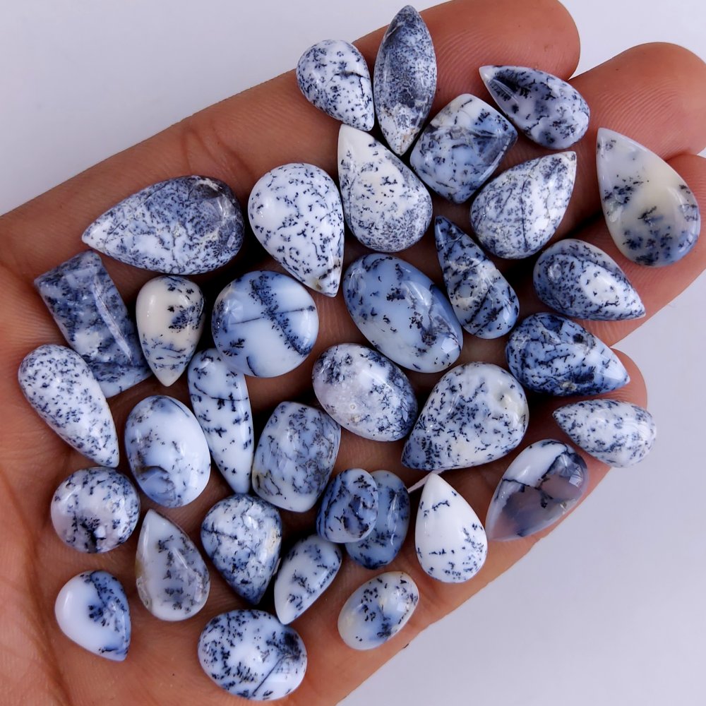 34Pcs 129Cts  Natural Dendrite Opal Gemstone Black White Design Dendrite Opal Cabochon, Flat Back Dendrite Opal Stone Both Side Polished Dendrite Opal Stone 18x8 12x8mm#822