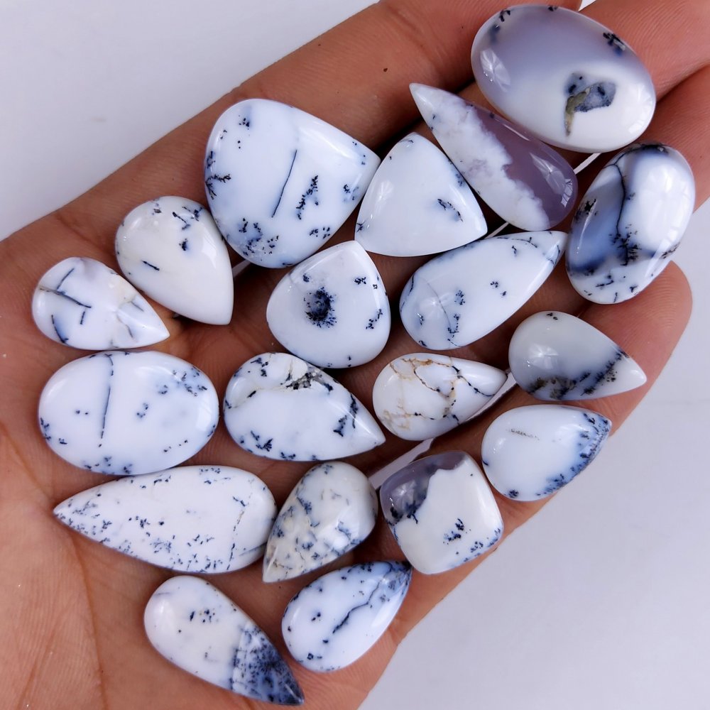 19Pcs 188Cts  Natural Dendrite Opal Gemstone Black White Design Dendrite Opal Cabochon, Flat Back Dendrite Opal Stone Both Side Polished Dendrite Opal Stone 24x13 16x11mm#824