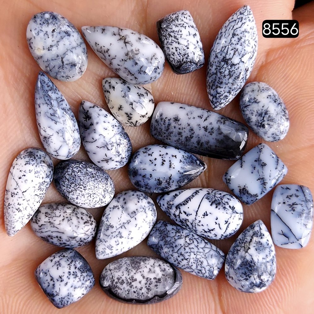 21Pcs 74Cts Dendrite Opal Gemstone Black White Design Dendrite Opal Cabochon, Flat Back Dendrite Opal Stone Both Side Polished Dendrite Opal Stone 18x8 12x8 mm #8556