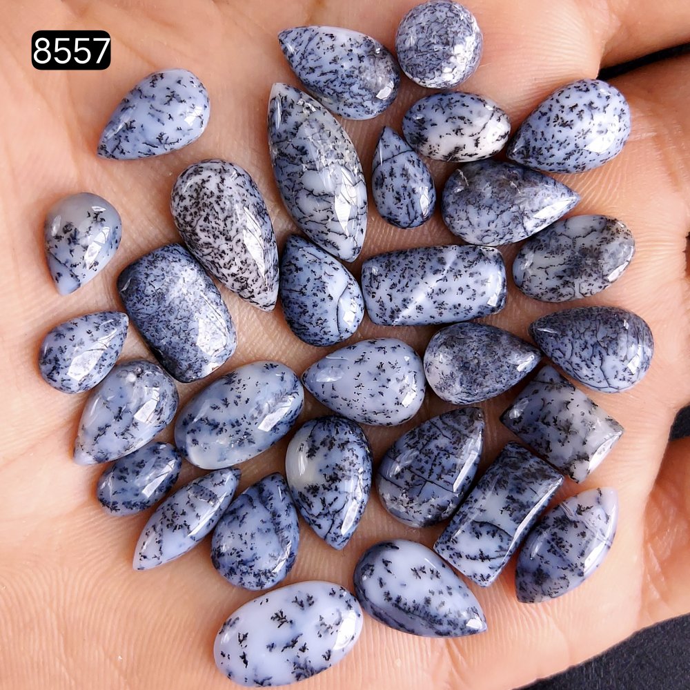 30Pcs 86Cts Dendrite Opal Gemstone Black White Design Dendrite Opal Cabochon, Flat Back Dendrite Opal Stone Both Side Polished Dendrite Opal Stone 20x8 8x8 mm #8557