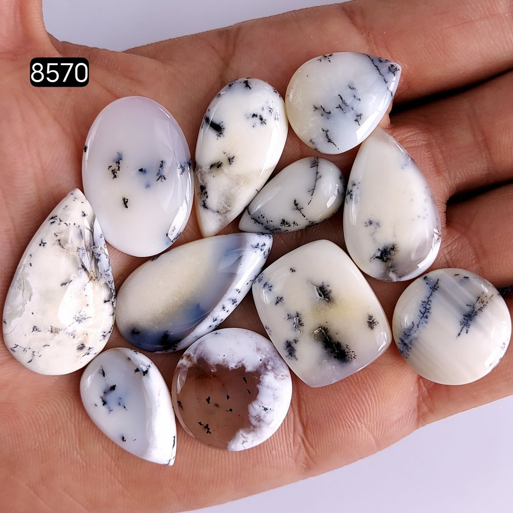 11Pcs 186Cts Dendrite Opal Gemstone Black White Design Dendrite Opal Cabochon, Flat Back Dendrite Opal Stone Both Side Polished Dendrite Opal Stone 33x19 26x12 mm #8570