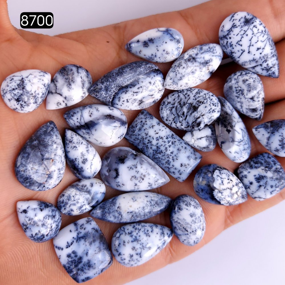 24Pcs 202Cts Natural Dendrite Opal Gemstone Black White Design Dendrite Opal Cabochon, Flat Back Dendrite Opal Stone Both Side Polished Dendrite Opal Stone 25x12 16x11mm#8700