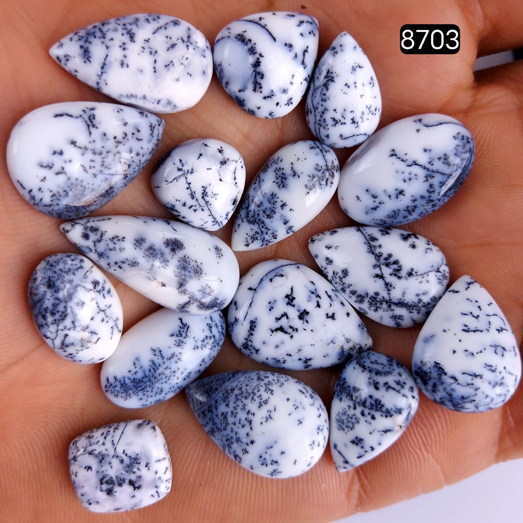 16Pcs 122Cts Natural Dendrite Opal Gemstone Black White Design Dendrite Opal Cabochon Flat Back Dendrite Opal Stone Both Side Polished Dendrite Opal Stone 26x12 13x12mm8703