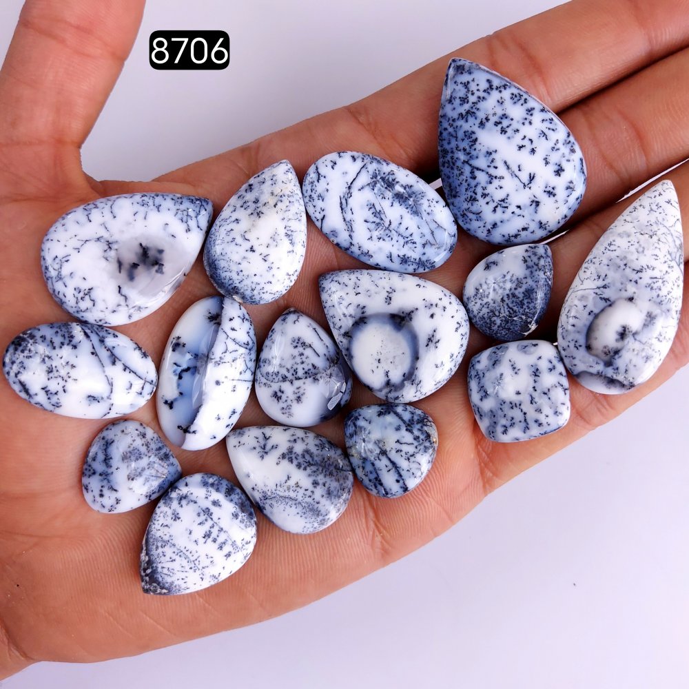 15Pcs 281Cts Natural Dendrite Opal Gemstone Black White Design Dendrite Opal Cabochon, Flat Back Dendrite Opal Stone Both Side Polished Dendrite Opal Stone 37x17 16x14mm#8706