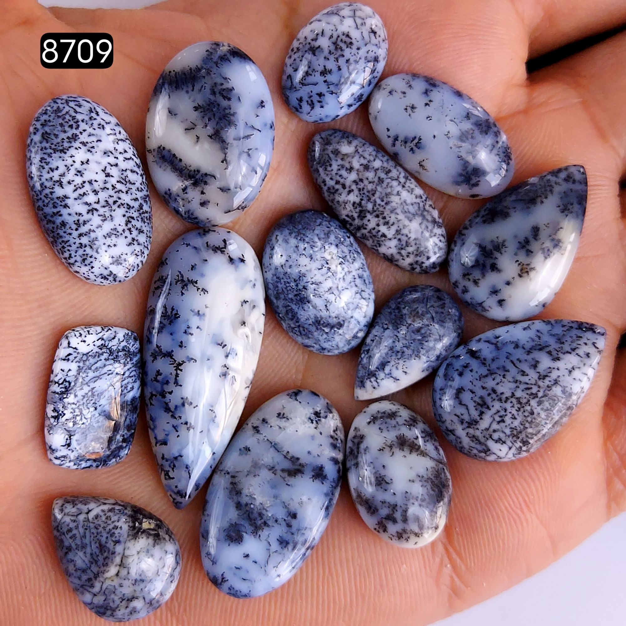 14Pcs 129Cts Natural Dendrite Opal Gemstone Black White Design Dendrite Opal Cabochon Flat Back Dendrite Opal Stone Both Side Polished Dendrite Opal Stone 35x14 18x14mm8709