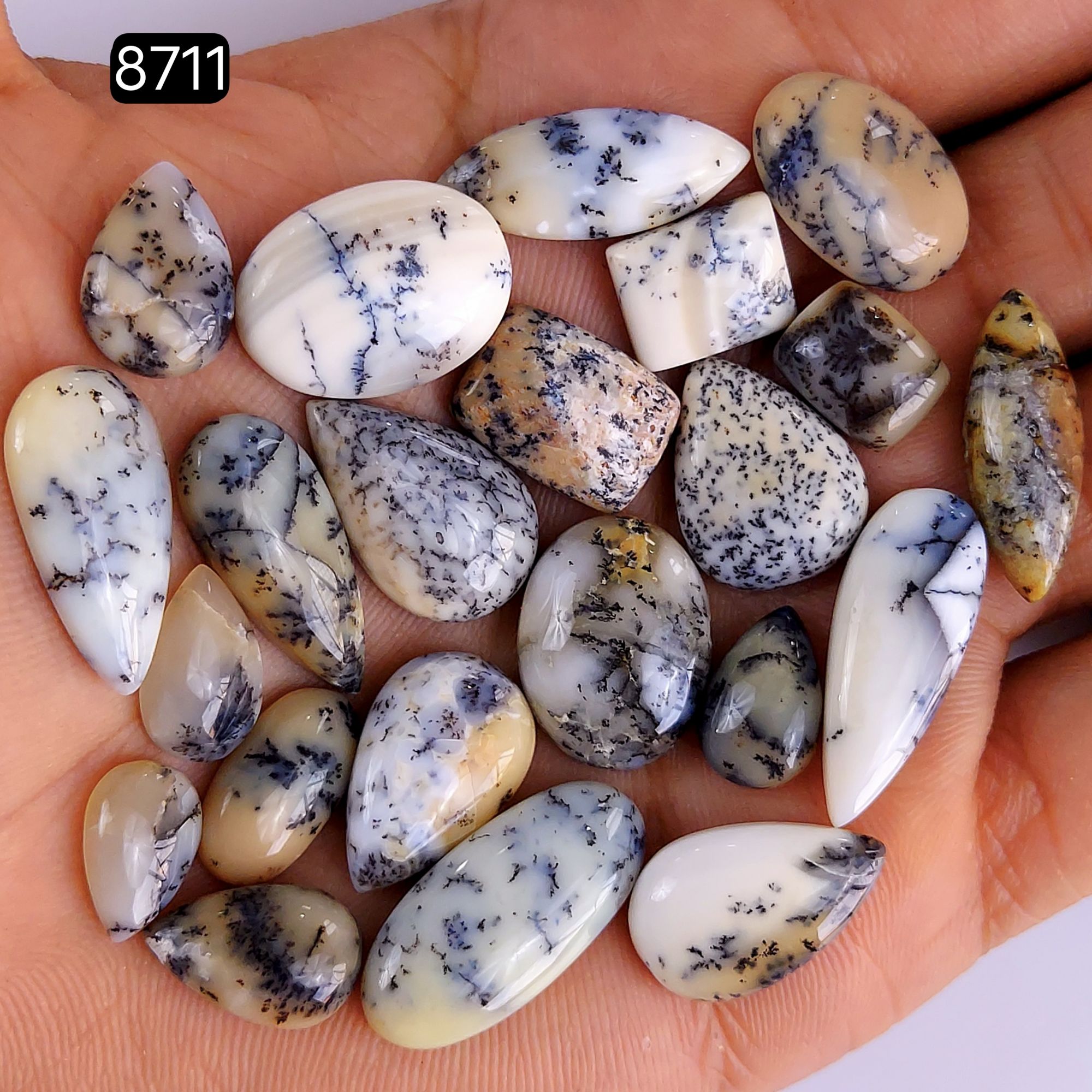 22Pcs 138Cts Natural Dendrite Opal Gemstone Black White Design Dendrite Opal Cabochon Flat Back Dendrite Opal Stone Both Side Polished Dendrite Opal Stone 25x10 13x9mm8711