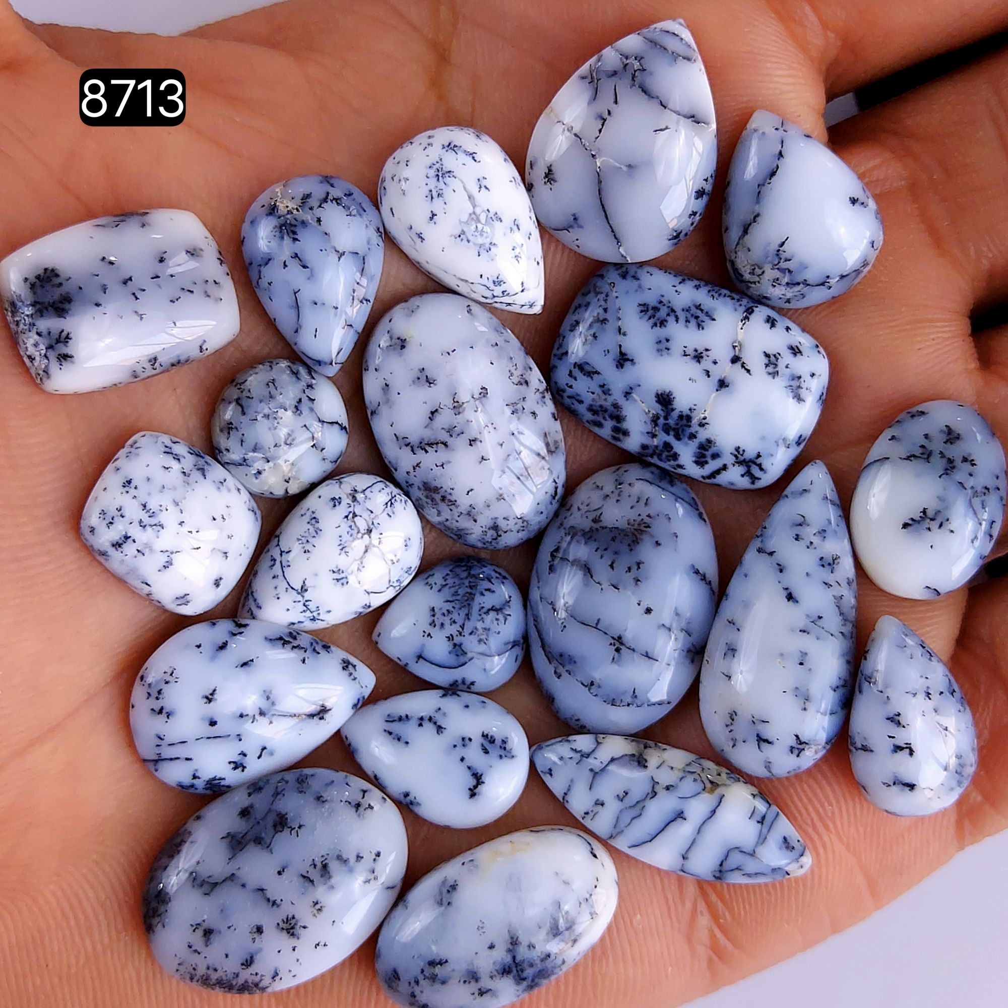 20Pcs 131Cts Natural Dendrite Opal Gemstone Black White Design Dendrite Opal Cabochon Flat Back Dendrite Opal Stone Both Side Polished Dendrite Opal Stone 20x15 12x11mm8713