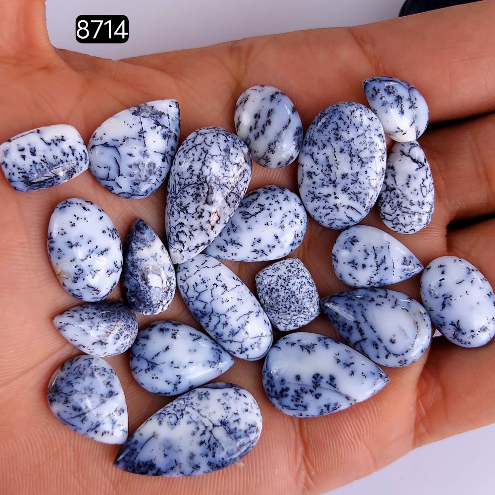 20Pcs 147Cts Natural Dendrite Opal Gemstone Black White Design Dendrite Opal Cabochon, Flat Back Dendrite Opal Stone Both Side Polished Dendrite Opal Stone 27x14 14x9mm#8714