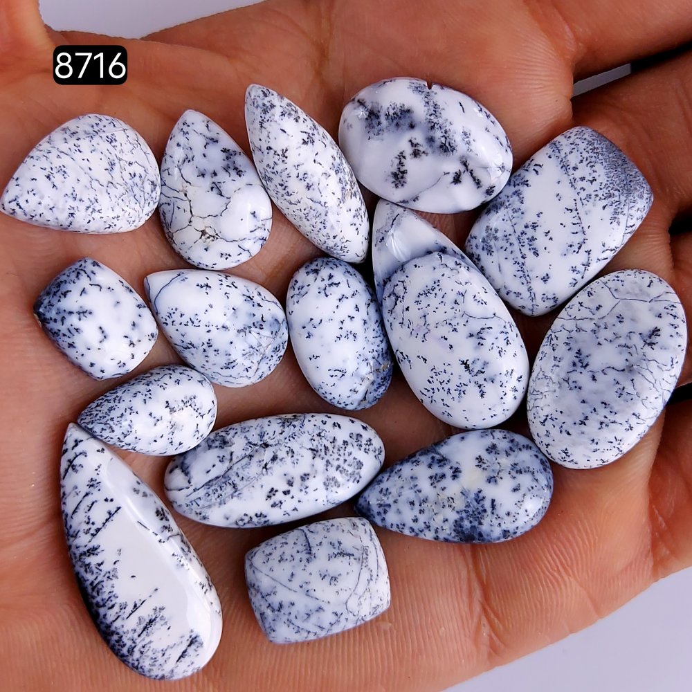 15Pcs 148Cts Natural Dendrite Opal Gemstone Black White Design Dendrite Opal Cabochon, Flat Back Dendrite Opal Stone Both Side Polished Dendrite Opal Stone 33x13 13x10mm#8716