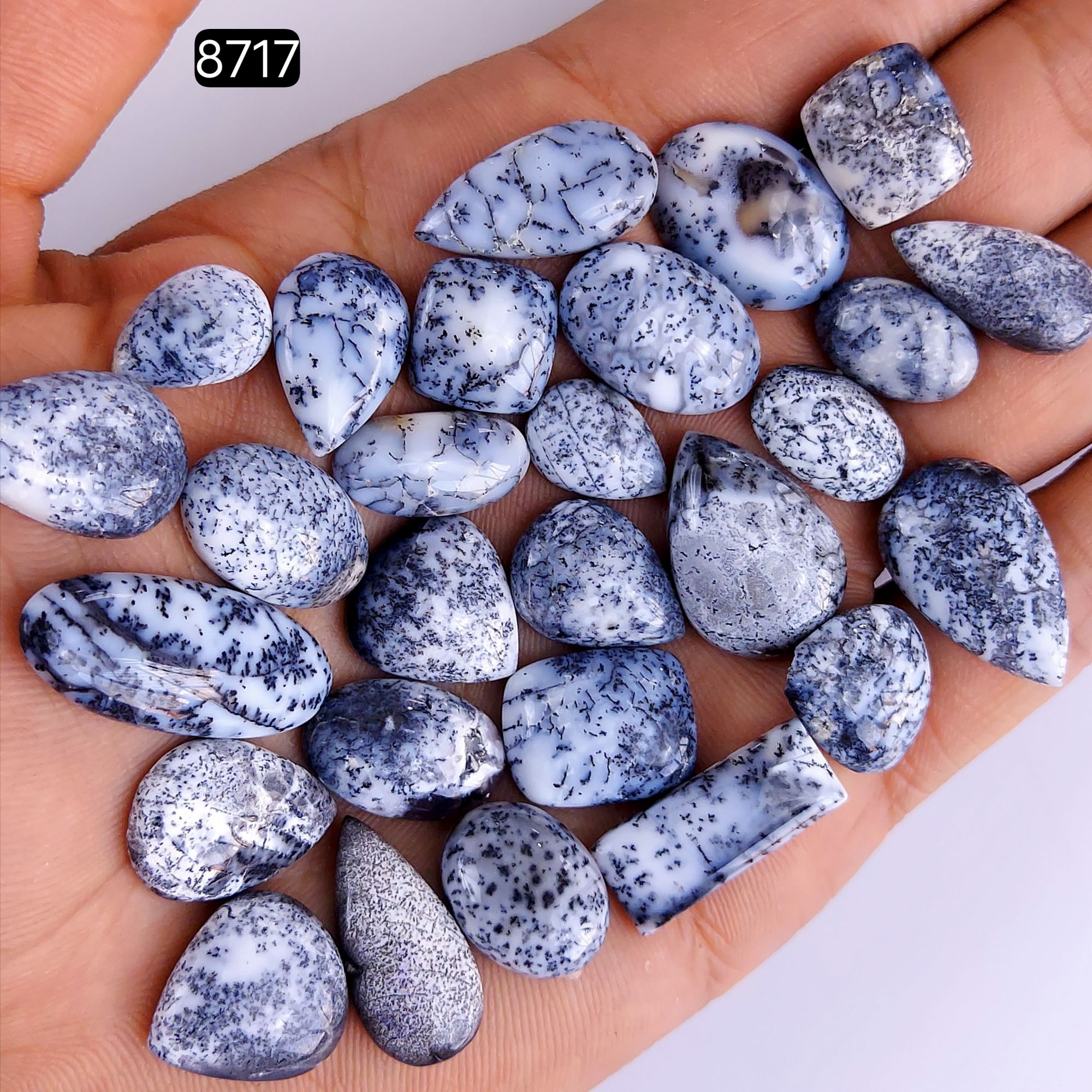 27Pcs 193Cts Natural Dendrite Opal Gemstone Black White Design Dendrite Opal Cabochon Flat Back Dendrite Opal Stone Both Side Polished Dendrite Opal Stone 29x12 14x10mm8717