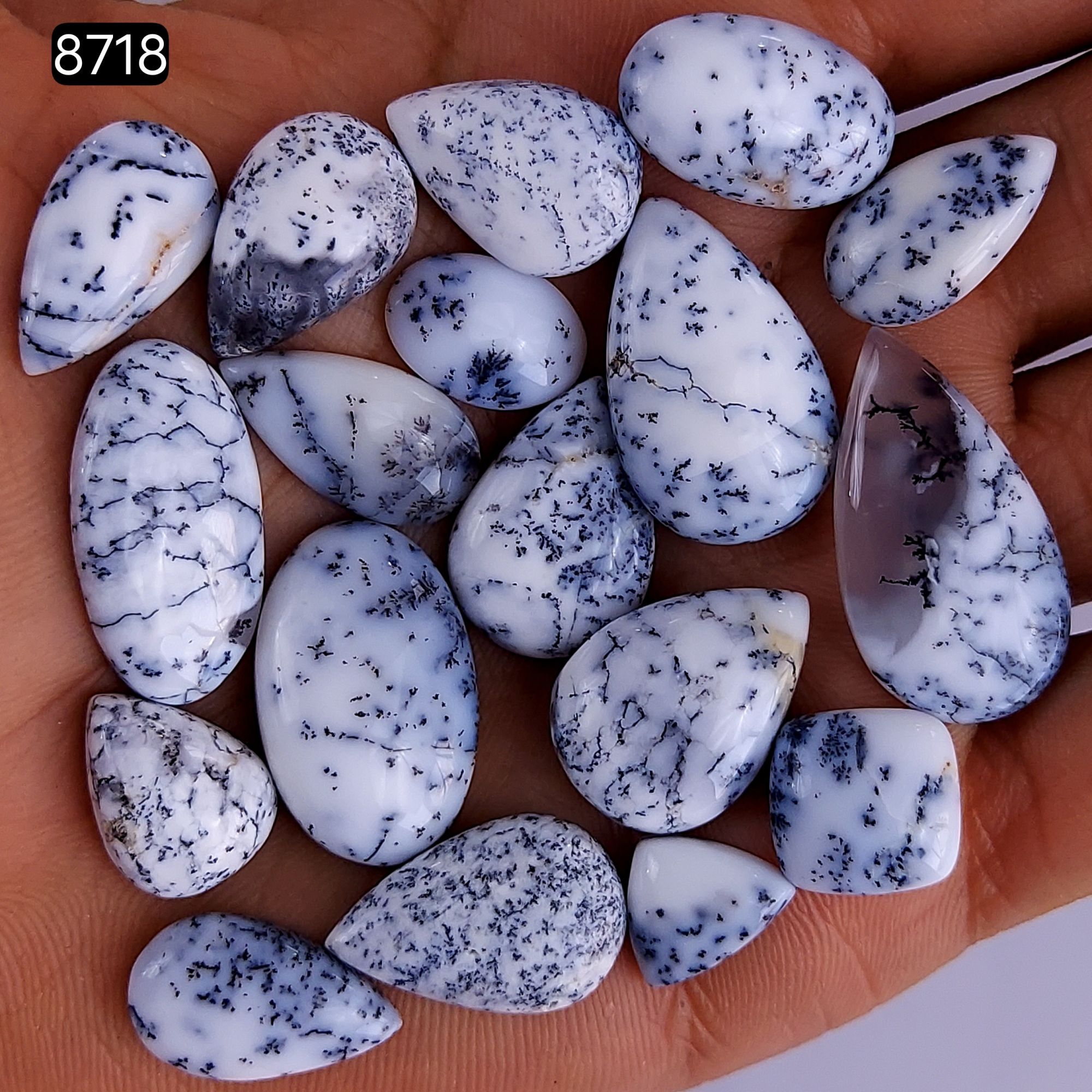 18Pcs 147Cts Natural Dendrite Opal Gemstone Black White Design Dendrite Opal Cabochon Flat Back Dendrite Opal Stone Both Side Polished Dendrite Opal Stone 25x15 12x10mm8718