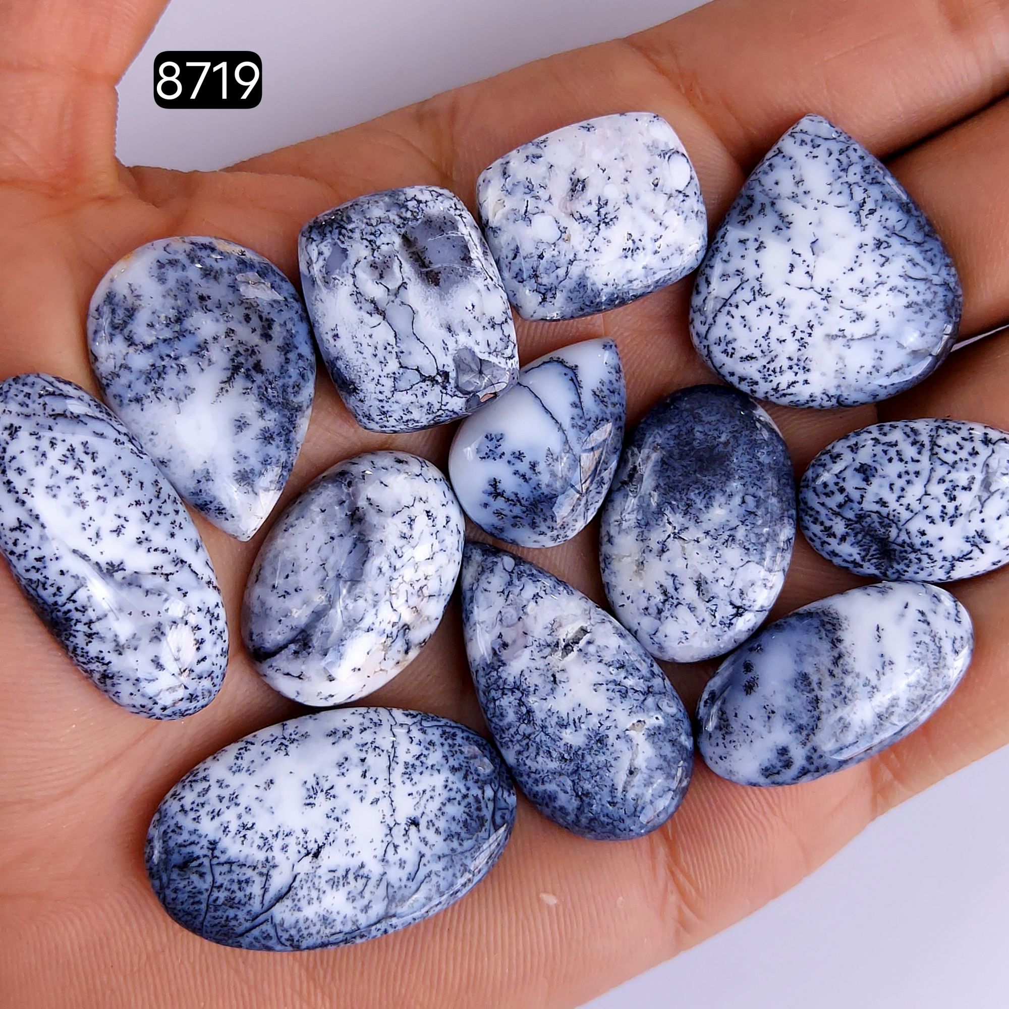 12Pcs 216Cts Natural Dendrite Opal Gemstone Black White Design Dendrite Opal Cabochon Flat Back Dendrite Opal Stone Both Side Polished Dendrite Opal Stone 32x15 22x15mm8719