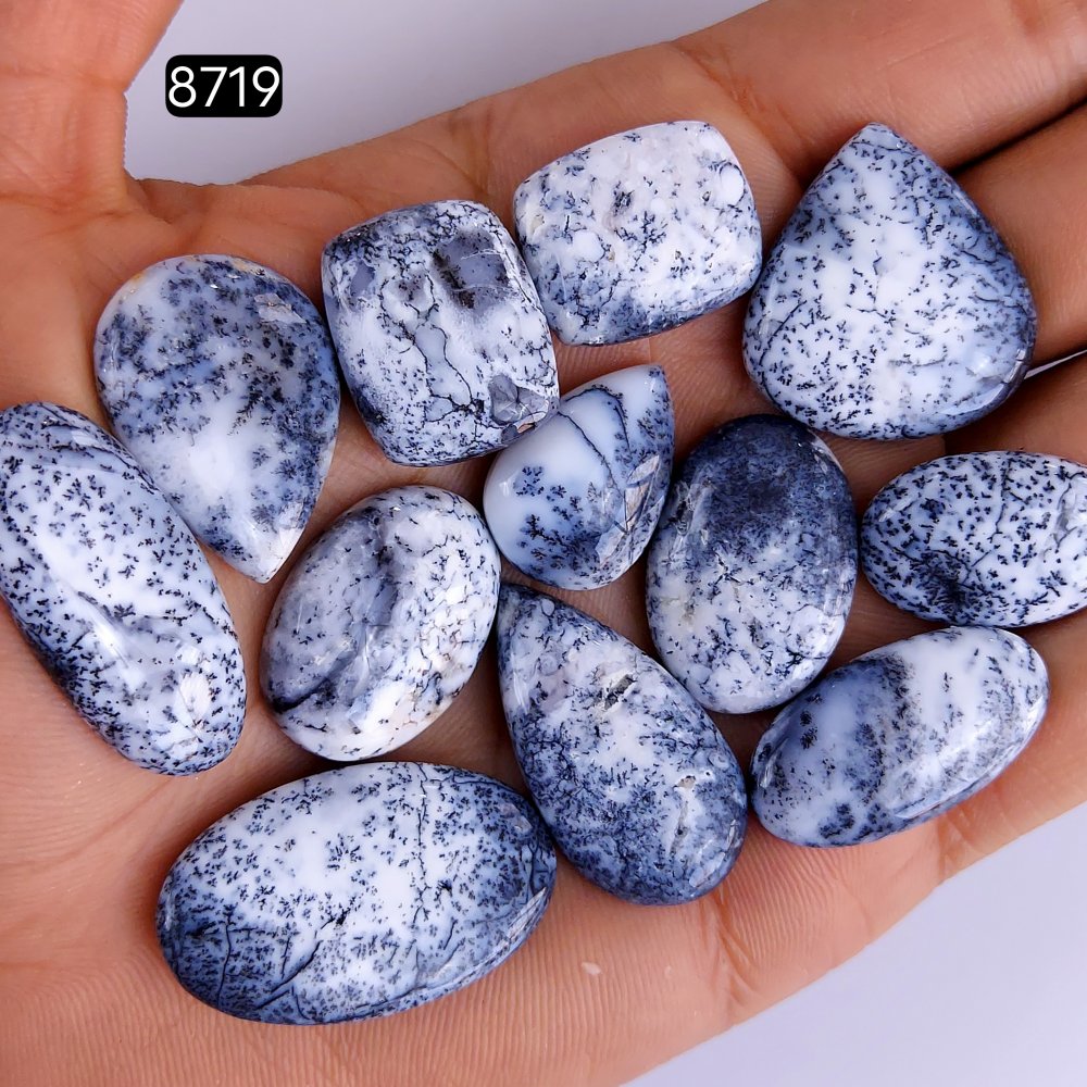 12Pcs 216Cts Natural Dendrite Opal Gemstone Black White Design Dendrite Opal Cabochon, Flat Back Dendrite Opal Stone Both Side Polished Dendrite Opal Stone 32x15 22x15mm#8719