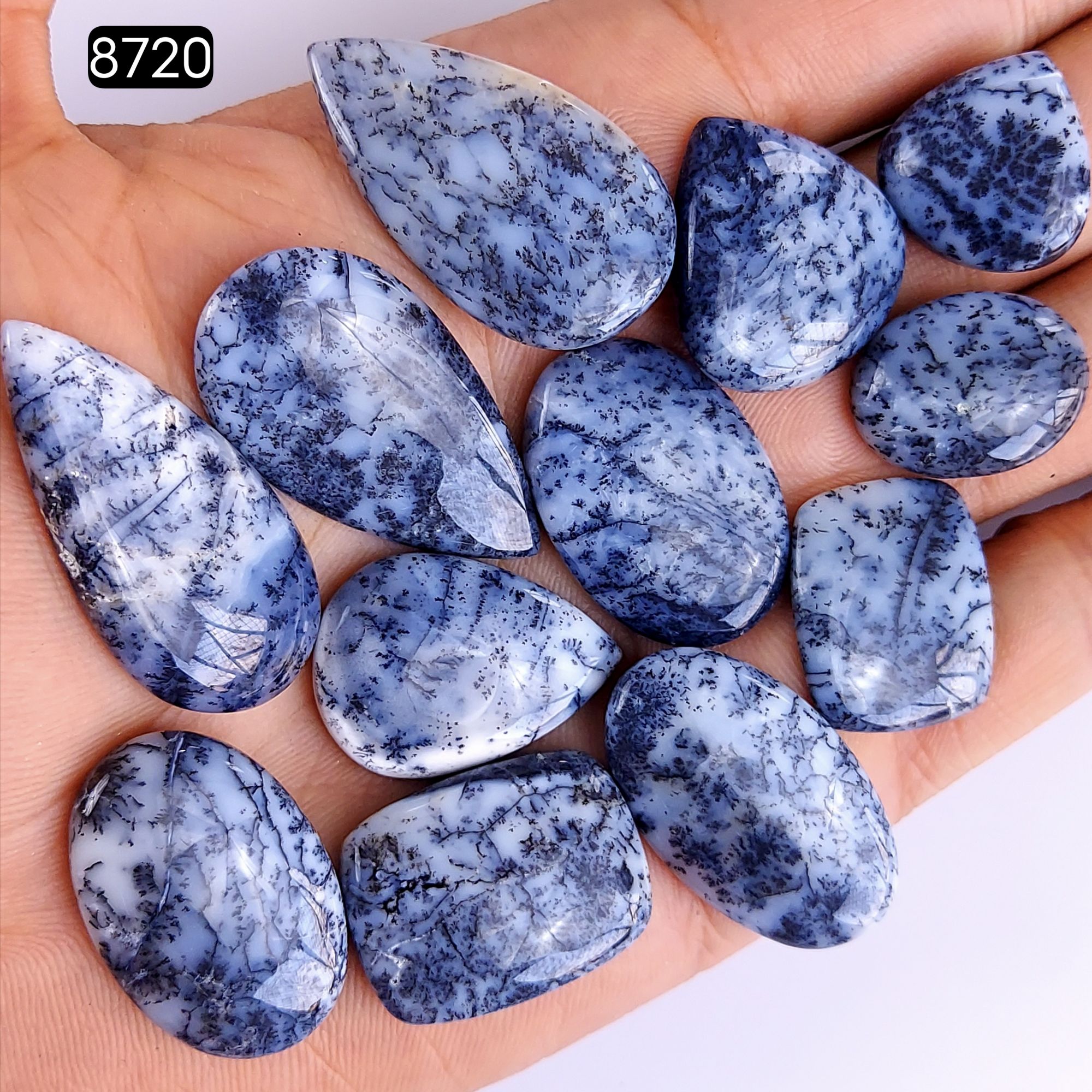 12Pcs 200Cts Natural Dendrite Opal Gemstone Black White Design Dendrite Opal Cabochon Flat Back Dendrite Opal Stone Both Side Polished Dendrite Opal Stone 35x17 21x16mm8720