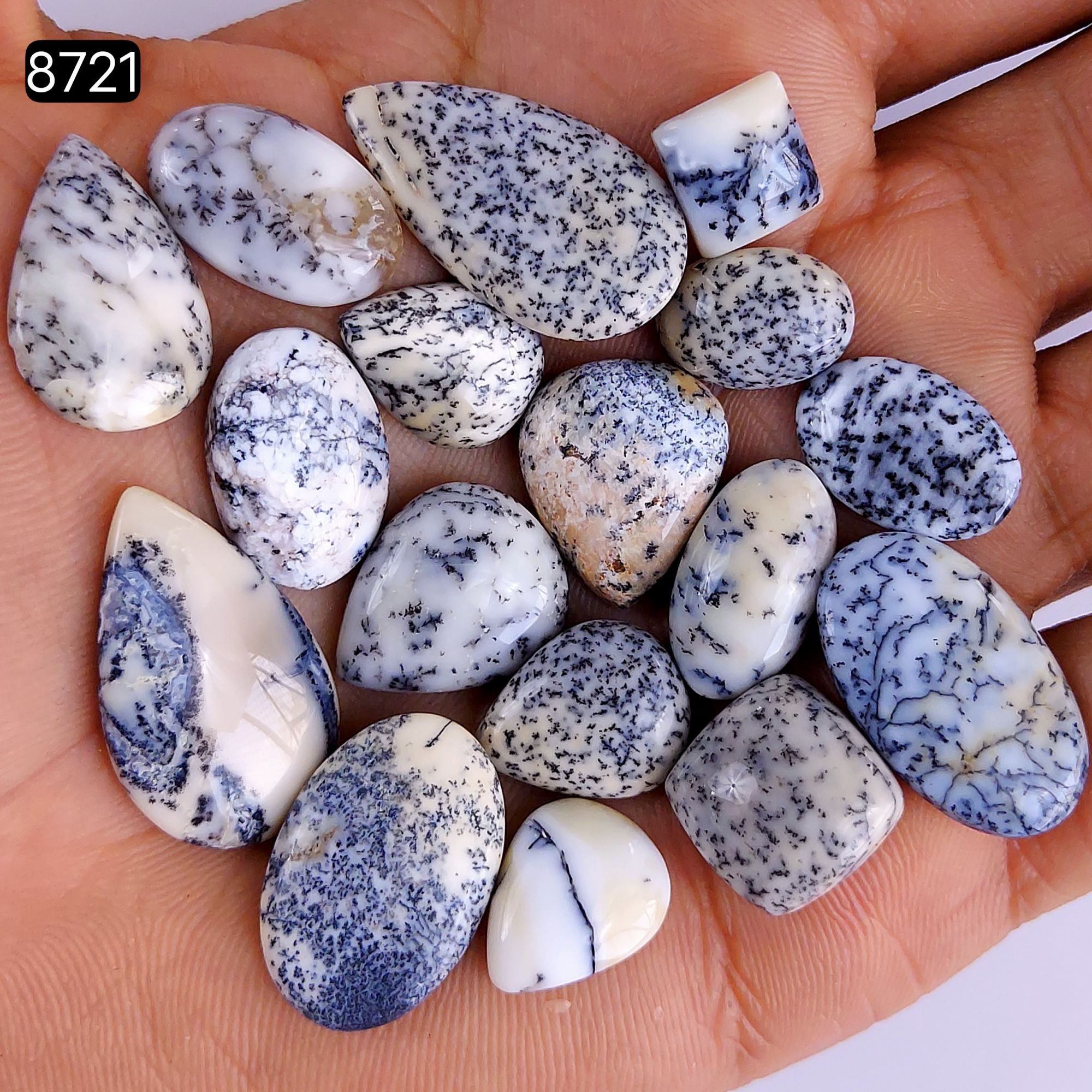 17Pcs 114Cts Natural Dendrite Opal Gemstone Black White Design Dendrite Opal Cabochon Flat Back Dendrite Opal Stone Both Side Polished Dendrite Opal Stone 27x16 13x10mm8721