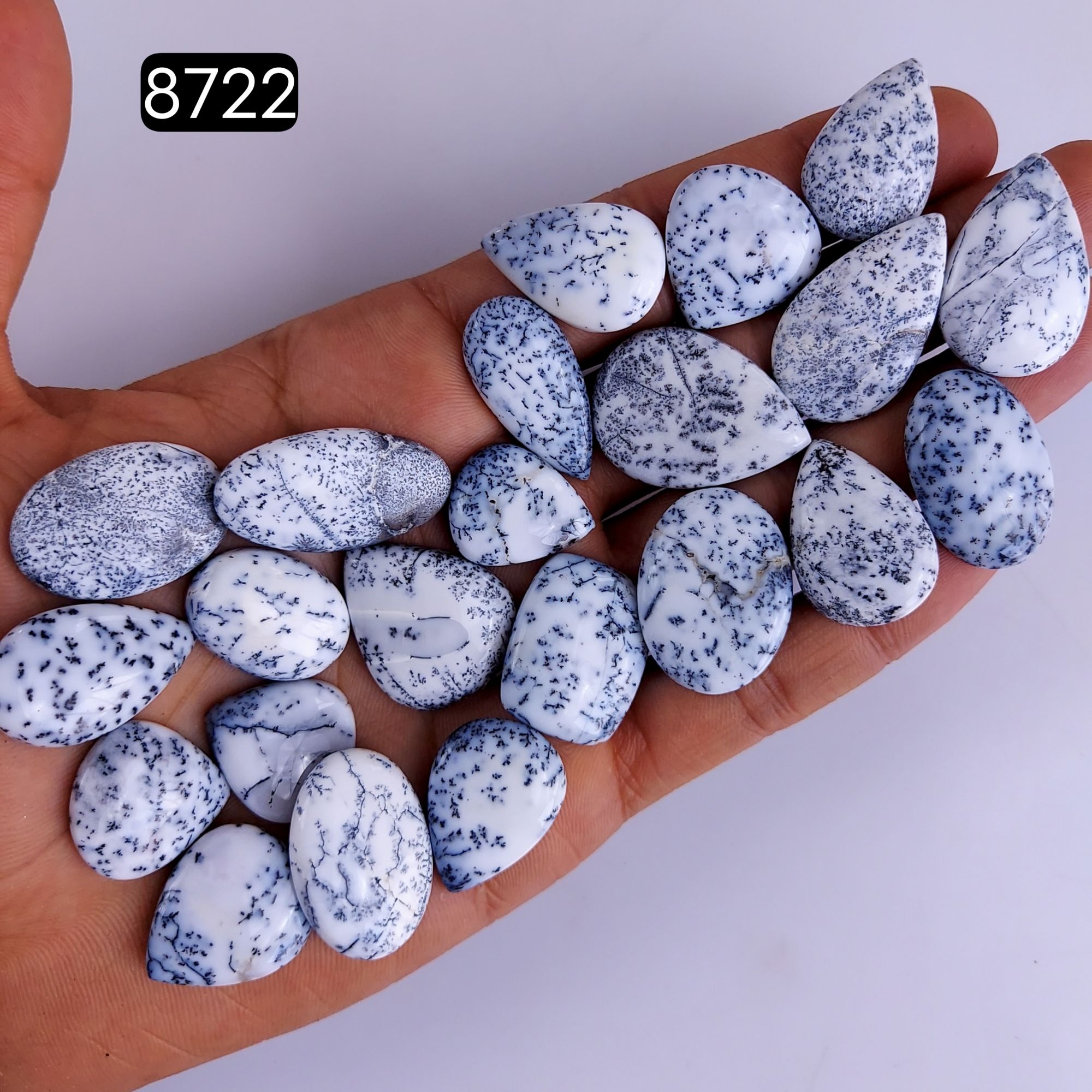 22Pcs 317Cts Natural Dendrite Opal Gemstone Black White Design Dendrite Opal Cabochon Flat Back Dendrite Opal Stone Both Side Polished Dendrite Opal Stone 30x17 19x16mm8722