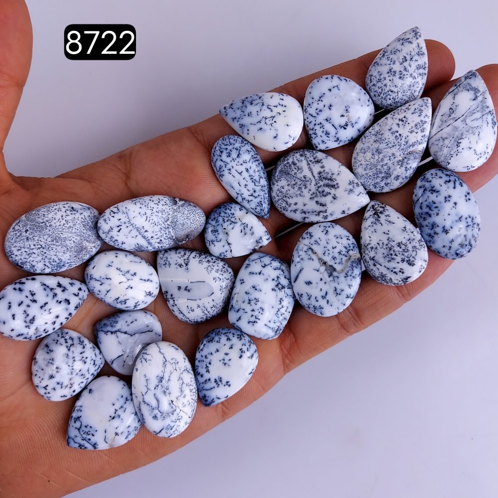 22Pcs 317Cts Natural Dendrite Opal Gemstone Black White Design Dendrite Opal Cabochon, Flat Back Dendrite Opal Stone Both Side Polished Dendrite Opal Stone 30x17 19x16mm#8722