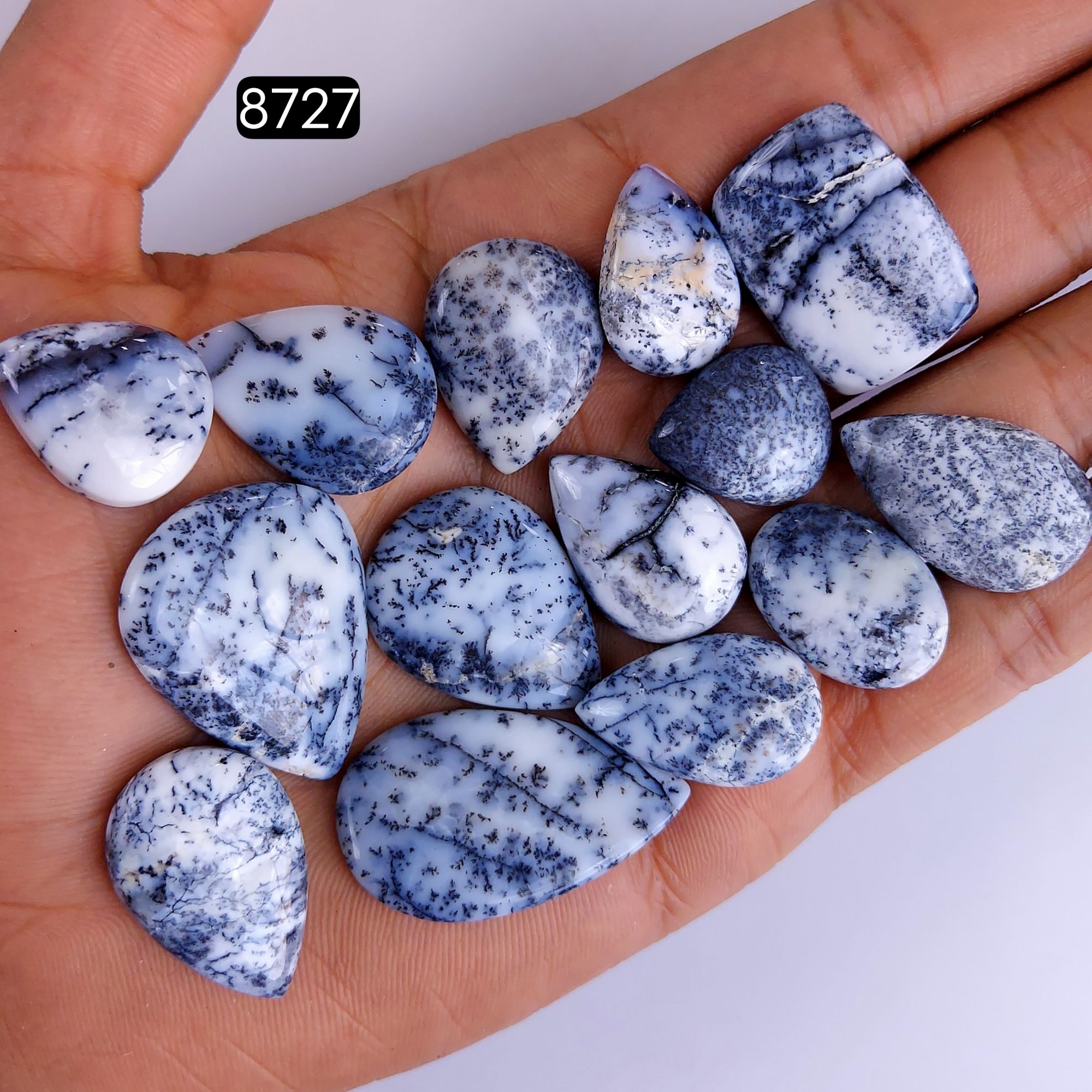 14Pcs 235Cts Natural Dendrite Opal Gemstone Black White Design Dendrite Opal Cabochon Flat Back Dendrite Opal Stone Both Side Polished Dendrite Opal Stone 35x22 20x12mm8727
