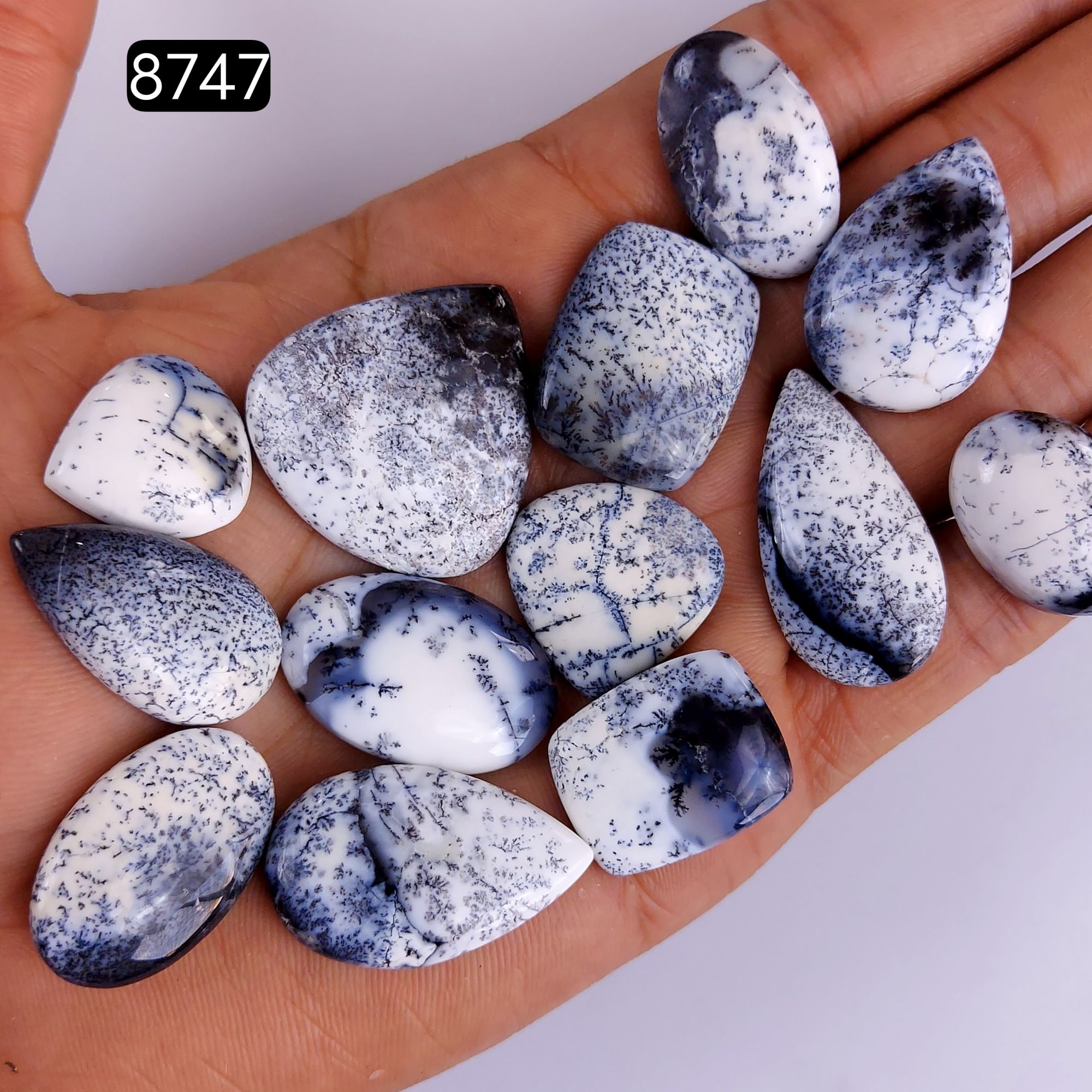 13Pcs 259Cts Natural Dendrite Opal Gemstone Black White Design Dendrite Opal Cabochon Flat Back Dendrite Opal Stone Both Side Polished Dendrite Opal Stone 30x28 18x16mm8747