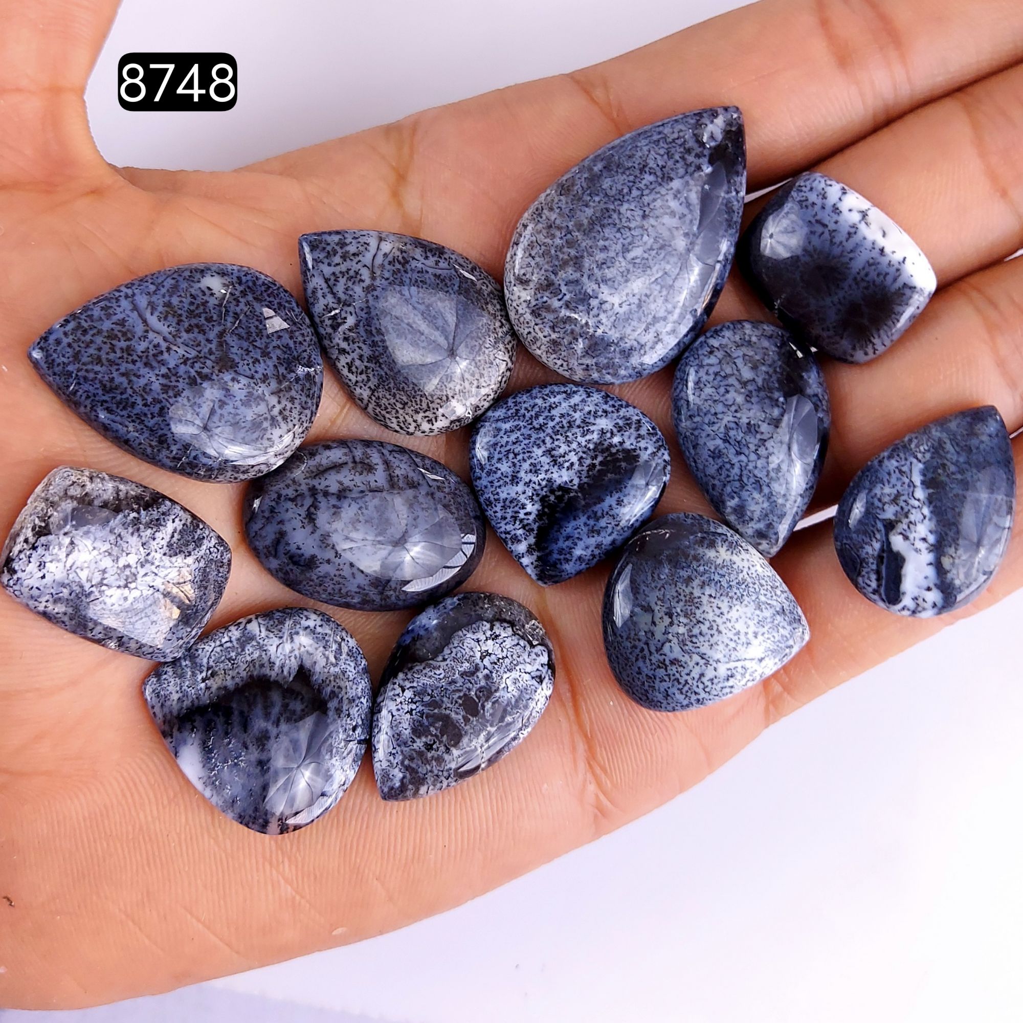 12Pcs 233Cts Natural Dendrite Opal Gemstone Black White Design Dendrite Opal Cabochon Flat Back Dendrite Opal Stone Both Side Polished Dendrite Opal Stone 34x22 18x14mm8748