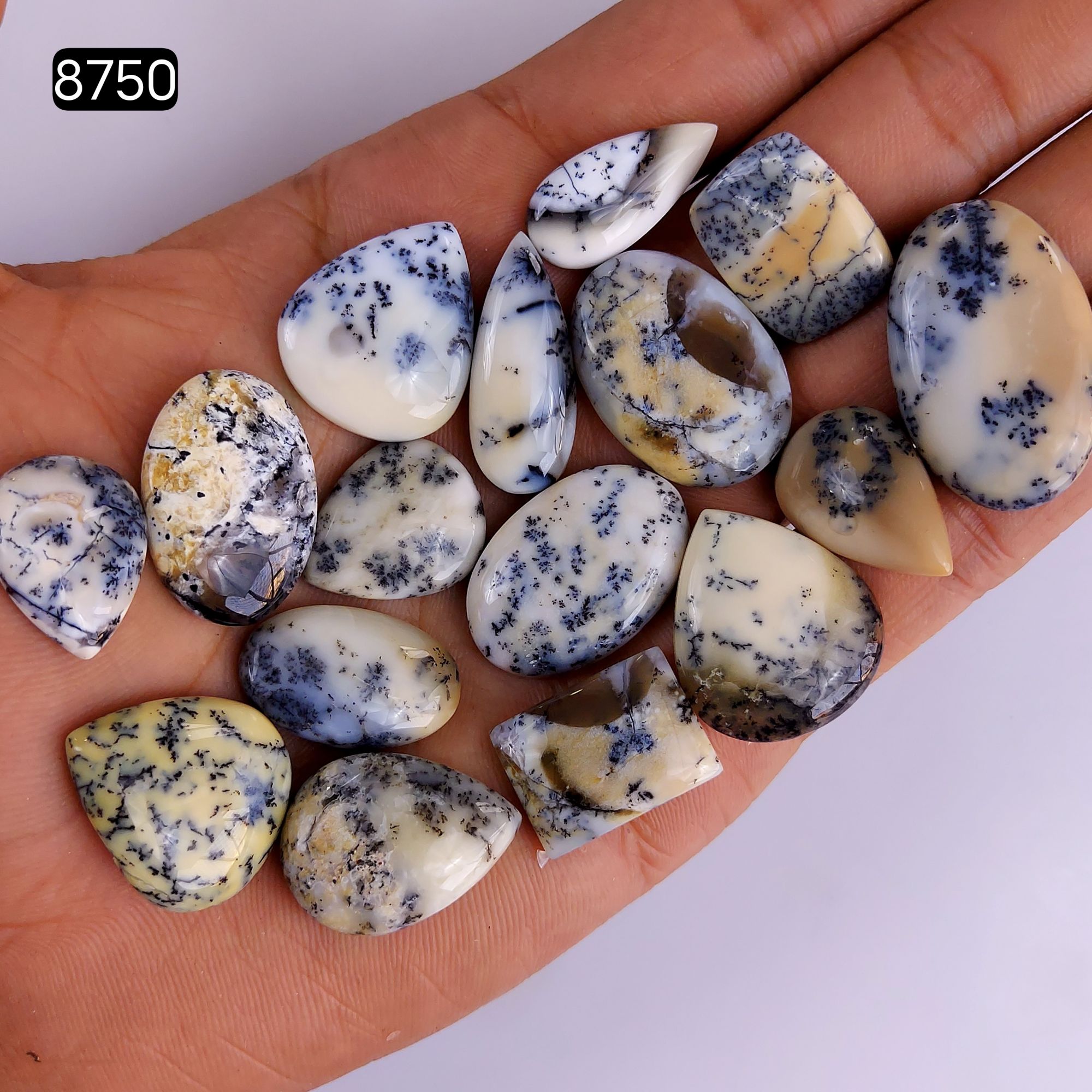 16Pcs 264Cts Natural Dendrite Opal Gemstone Black White Design Dendrite Opal Cabochon Flat Back Dendrite Opal Stone Both Side Polished Dendrite Opal Stone 29x18 18x12mm8750