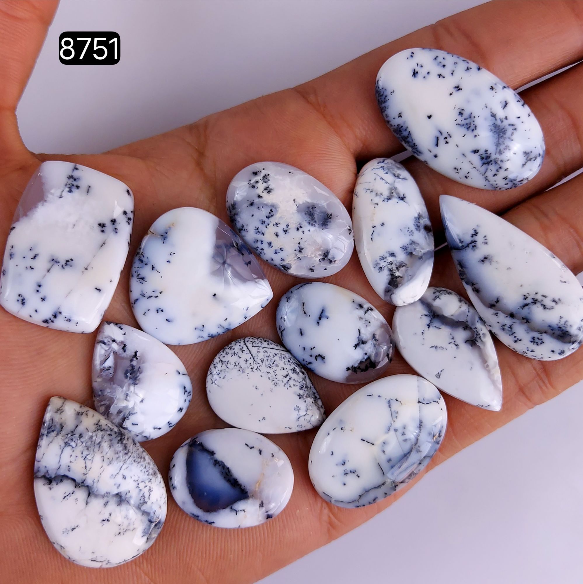 13Pcs 237Cts Natural Dendrite Opal Gemstone Black White Design Dendrite Opal Cabochon Flat Back Dendrite Opal Stone Both Side Polished Dendrite Opal Stone 33x18 22x16mm8751
