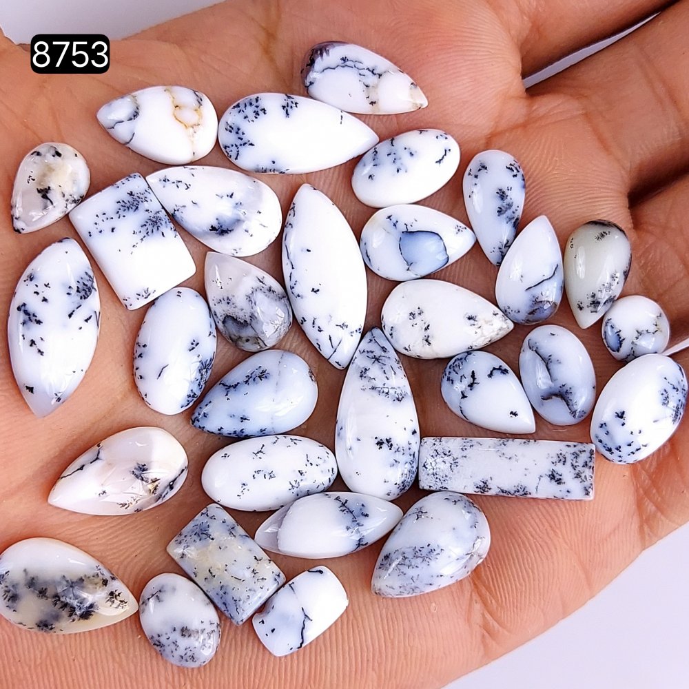 31Pcs 221Cts Natural Dendrite Opal Gemstone Black White Design Dendrite Opal Cabochon, Flat Back Dendrite Opal Stone Both Side Polished Dendrite Opal Stone 20x7 8x5mm#8753