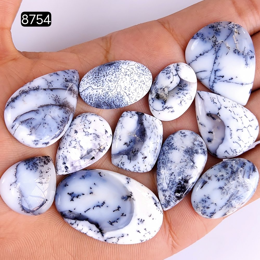 11Pcs 168Cts Natural Dendrite Opal Gemstone Black White Design Dendrite Opal Cabochon, Flat Back Dendrite Opal Stone Both Side Polished Dendrite Opal Stone 37x22 20x15mm#8754