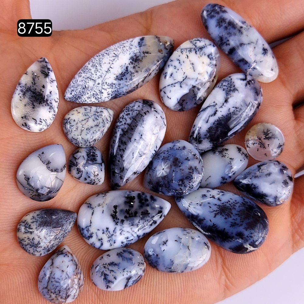 19Pcs 194Cts Natural Dendrite Opal Gemstone Black White Design Dendrite Opal Cabochon, Flat Back Dendrite Opal Stone Both Side Polished Dendrite Opal Stone 32x12 8x8mm#8755