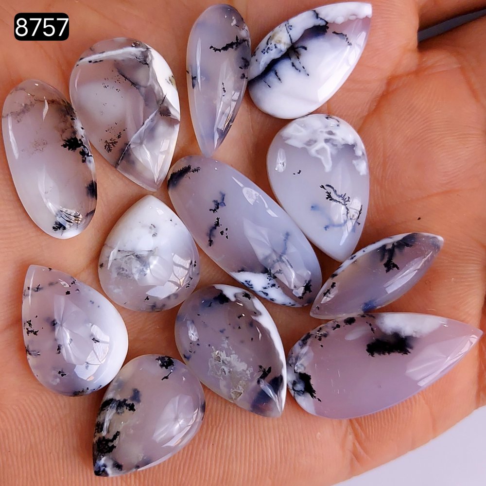 12Pcs 182Cts Natural Dendrite Opal Gemstone Black White Design Dendrite Opal Cabochon, Flat Back Dendrite Opal Stone Both Side Polished Dendrite Opal Stone 28x12 17x11mm#8757