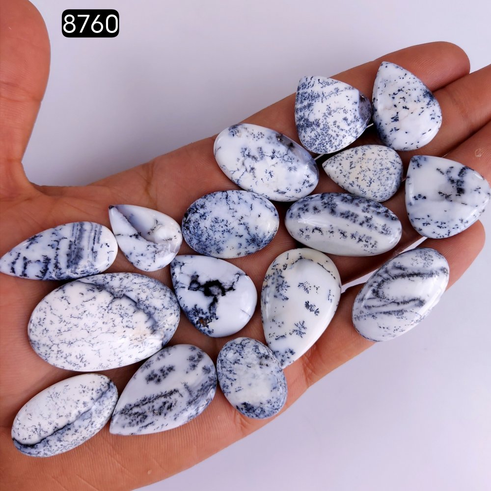 16Pcs 184Cts Natural Dendrite Opal Gemstone Black White Design Dendrite Opal Cabochon, Flat Back Dendrite Opal Stone Both Side Polished Dendrite Opal Stone 38x24 20x14mm#8760