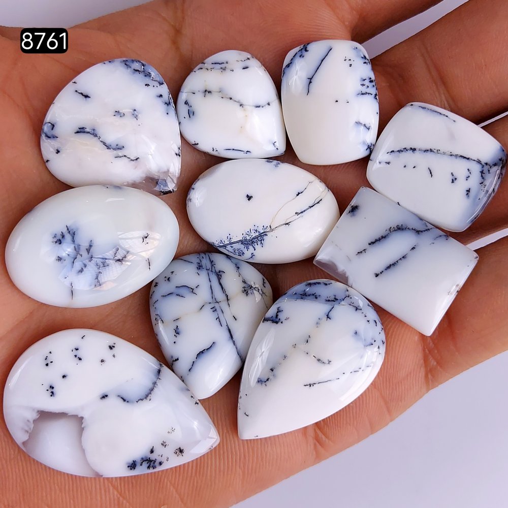 10Pcs 210Cts Natural Dendrite Opal Gemstone Black White Design Dendrite Opal Cabochon, Flat Back Dendrite Opal Stone Both Side Polished Dendrite Opal Stone 33x20 18x16mm#8761