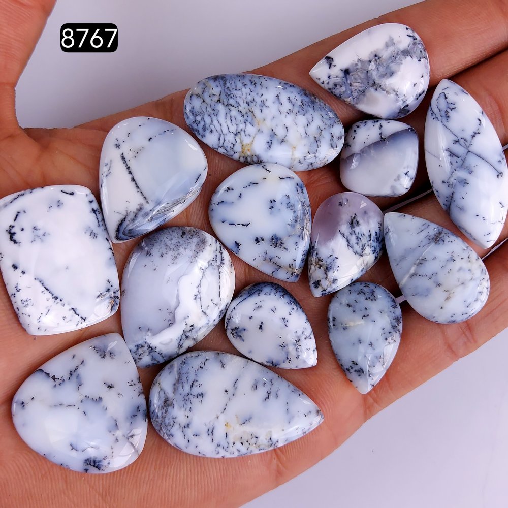 14Pcs 252Cts Natural Dendrite Opal Gemstone Black White Design Dendrite Opal Cabochon, Flat Back Dendrite Opal Stone Both Side Polished Dendrite Opal Stone 33x18 14x14mm#8767