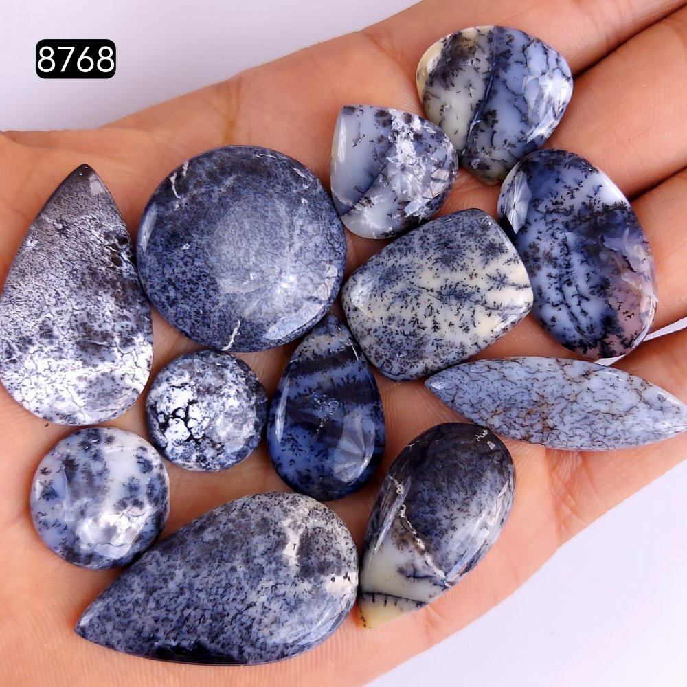 12Pcs 206Cts Natural Dendrite Opal Gemstone Black White Design Dendrite Opal Cabochon, Flat Back Dendrite Opal Stone Both Side Polished Dendrite Opal Stone 35x20 15x15mm#8768