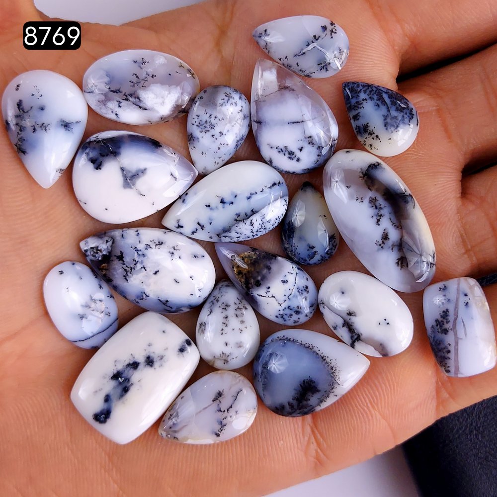 19Pcs 159Cts Natural Dendrite Opal Gemstone Black White Design Dendrite Opal Cabochon, Flat Back Dendrite Opal Stone Both Side Polished Dendrite Opal Stone 25x11 12x8mm#8769
