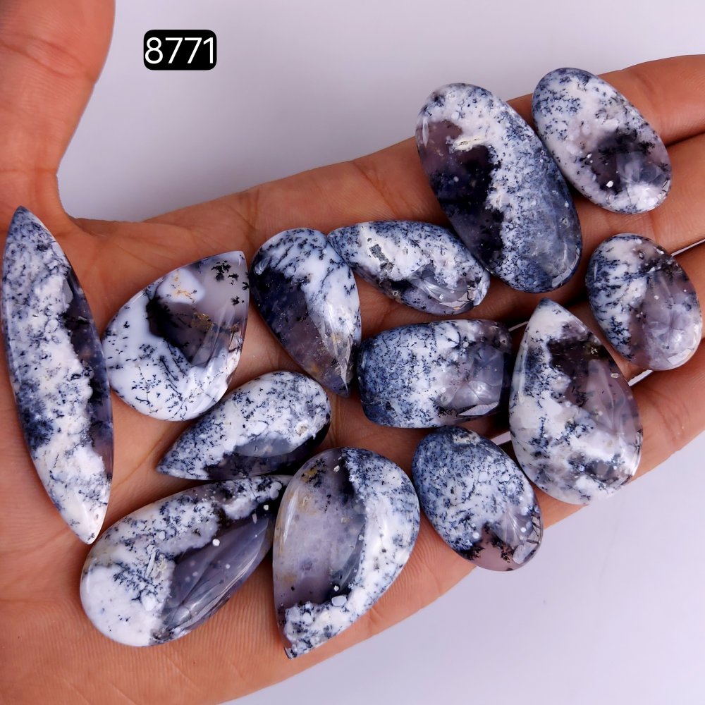 13Pcs 259Cts Natural Dendrite Opal Gemstone Black White Design Dendrite Opal Cabochon, Flat Back Dendrite Opal Stone Both Side Polished Dendrite Opal Stone 55x13 24x16mm#8771